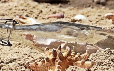 «THE BOTTLE CHALLENGE» (El Desafío de la Botella)