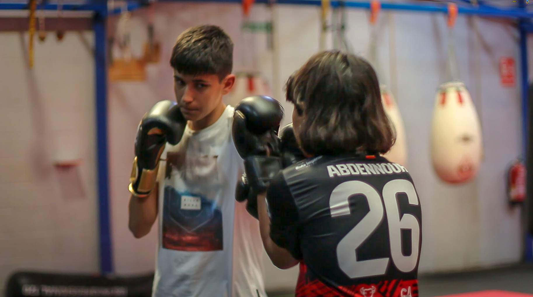 formacion boxeo infantil